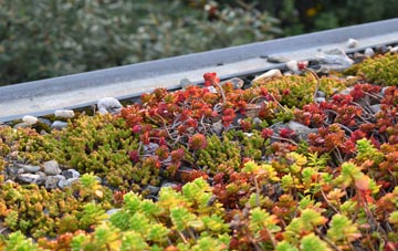 the cost of Widgham Green green roof installation