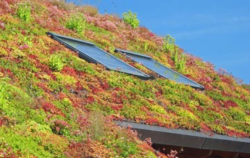 Widgham Green living roof systems