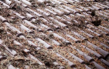 Widgham Green roof cleaning companies